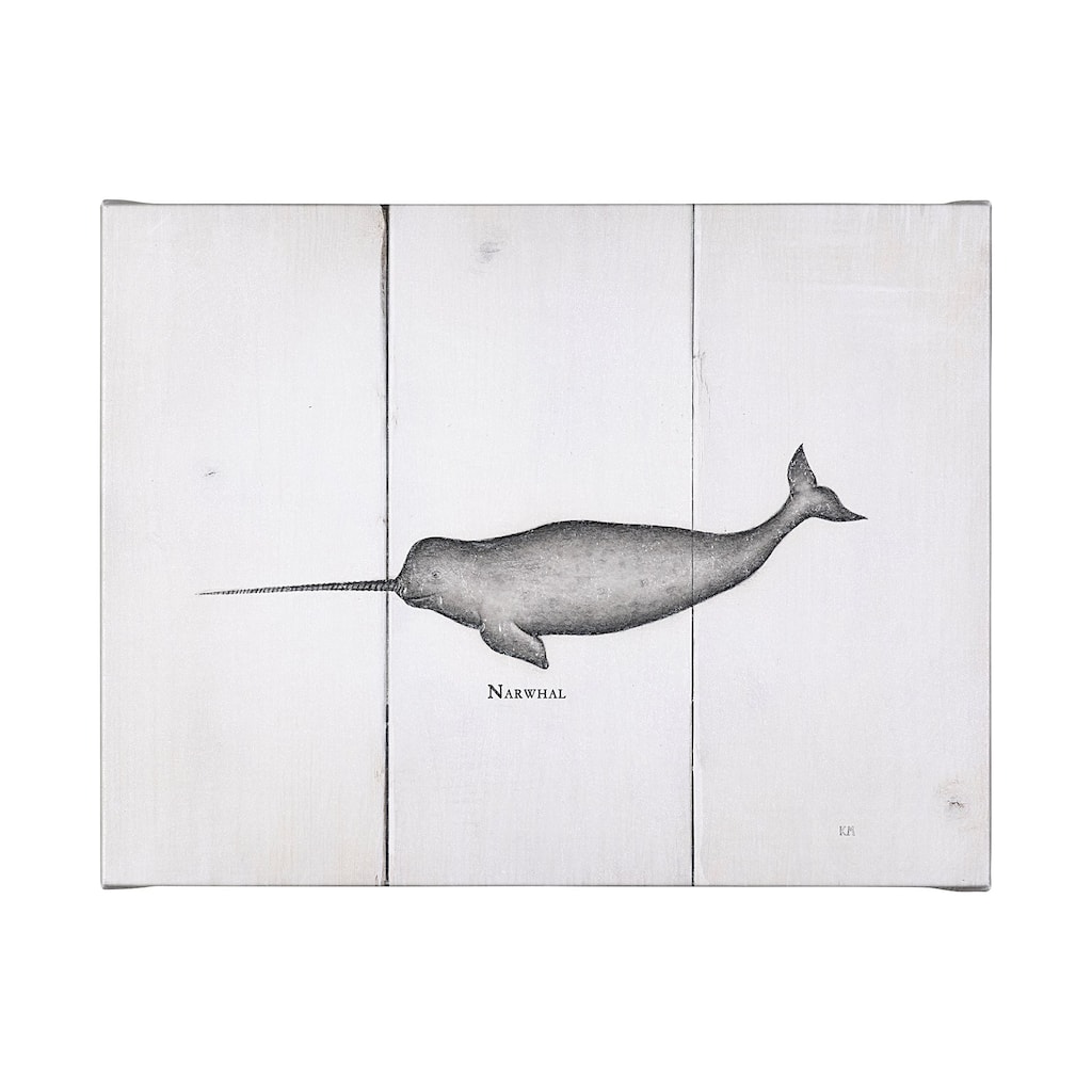 Narwhal (40 x 30) Canvas Art Print
