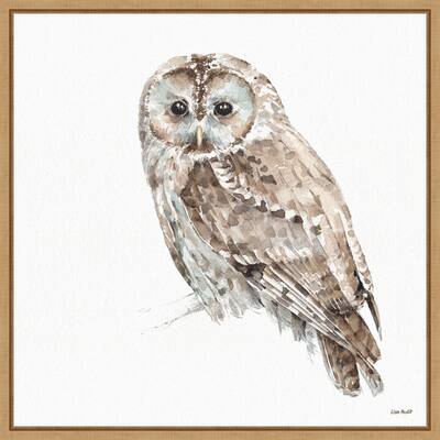 Forest Friends IX by Lisa Audit Framed Canvas Art