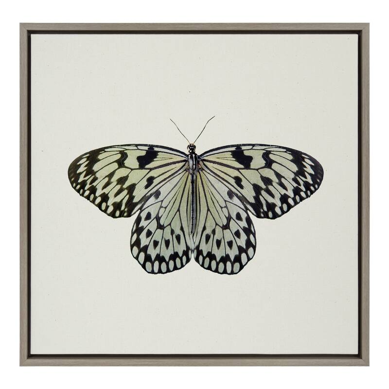 Kate and Laurel Sylvie Butterfly Framed Canvas by Robert Cadloff - 22x22 - Plastic - Grey