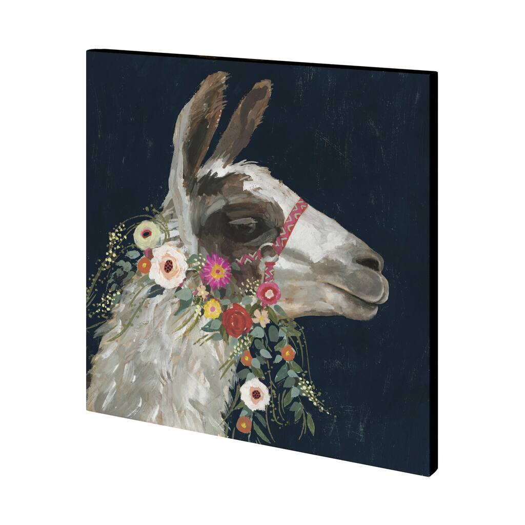 Lovely Llama I Canvas Art Print