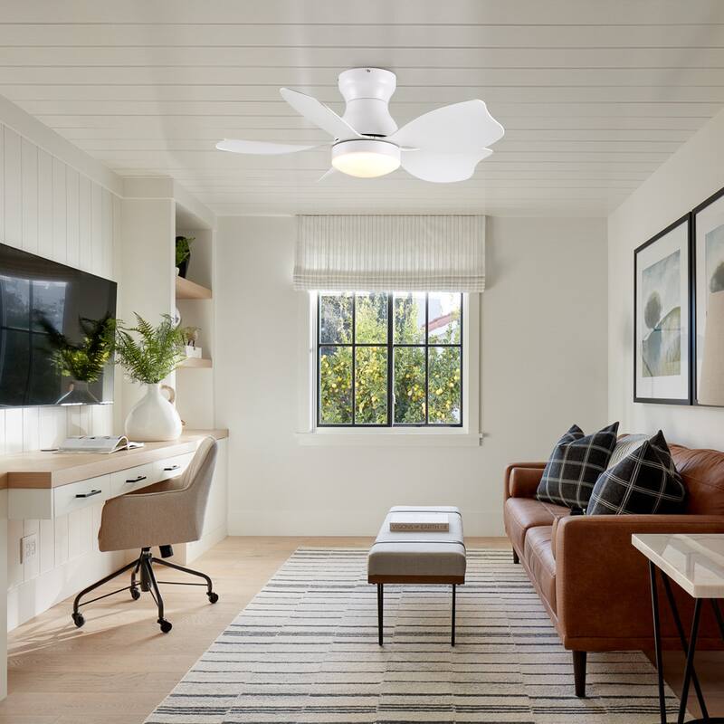 Modern Small Ceiling Fan Light with 3 Color Temperatures and 5 Blades, 6 Adjustable Wind Speeds for Bedroom and Living Room