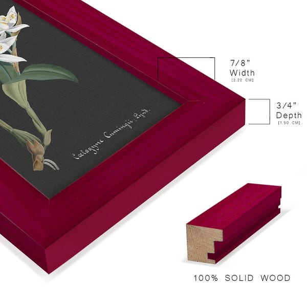 dimension image slide 1 of 11, Orchid on Slate III -Framed Print w/glass-Cherry Red