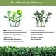 preview thumbnail 5 of 6, 40 in x 120 in Artificial Boxwood Roll Panels for Outdoor Use - 4 Roll