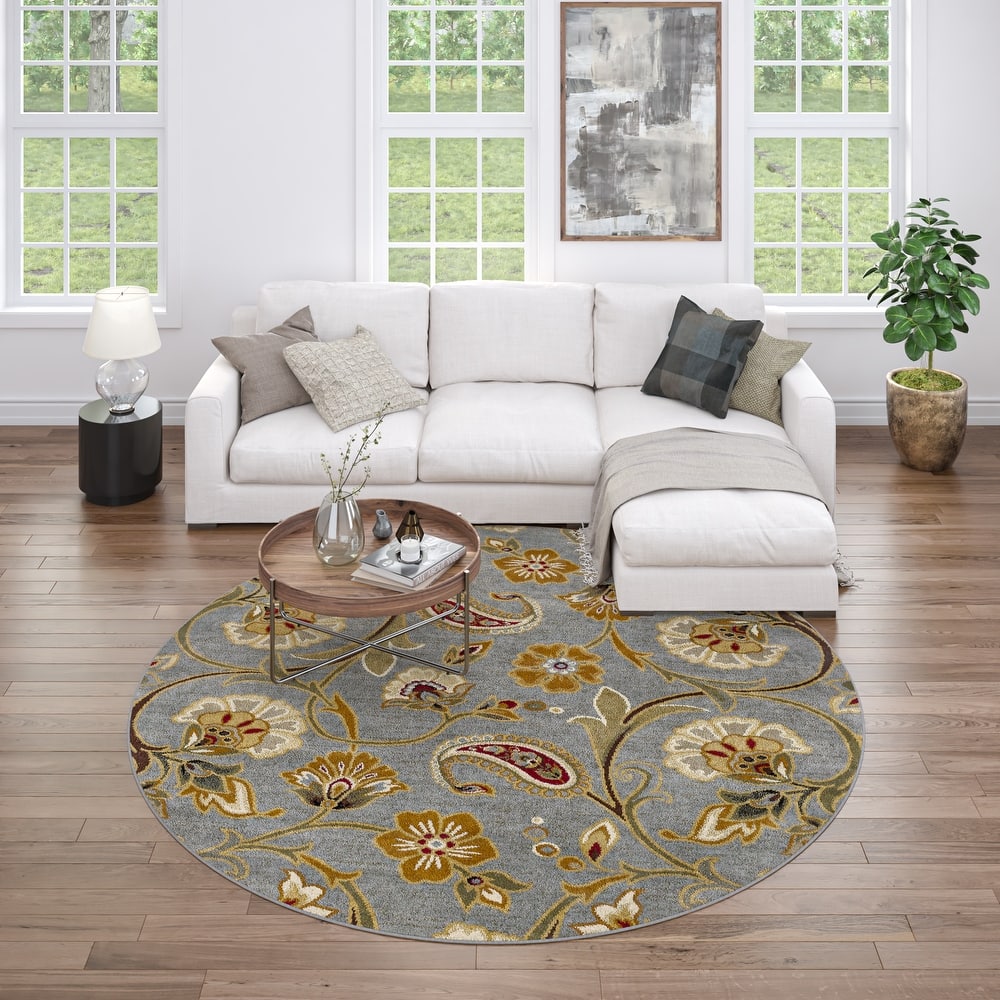 Infinity Transitional Floral Indoor Area Rug