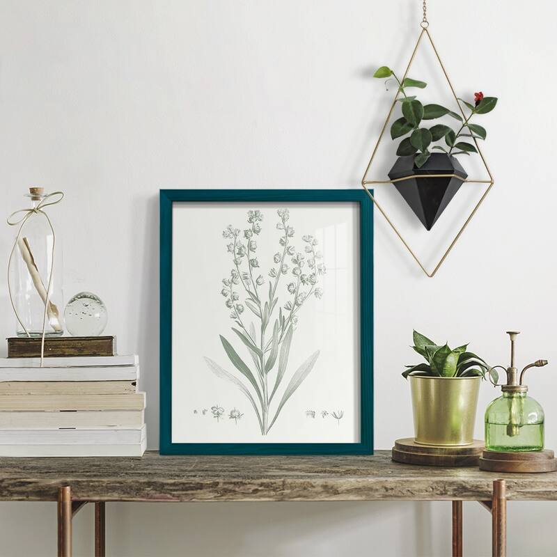 Botanical Study in Sage I -Framed Print w/glass-Cherry Red