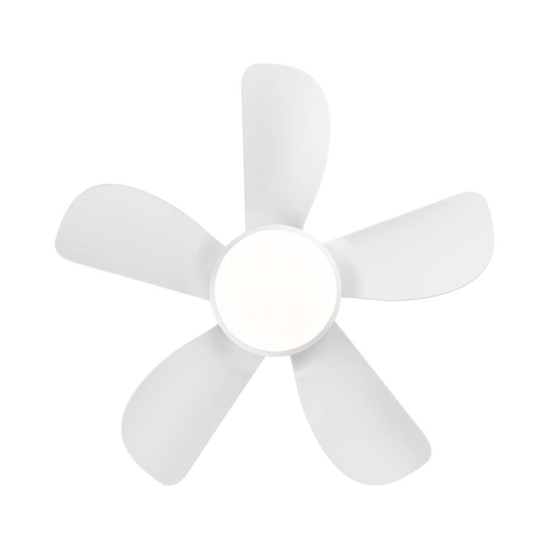 30 in. Indoor Integrated LED White Small Ceiling Fan with Light Kit and Remote Control - 30 INCHES