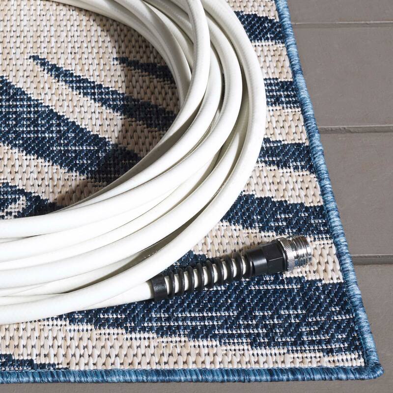SAFAVIEH Beach House Nassrin Transitional Rug