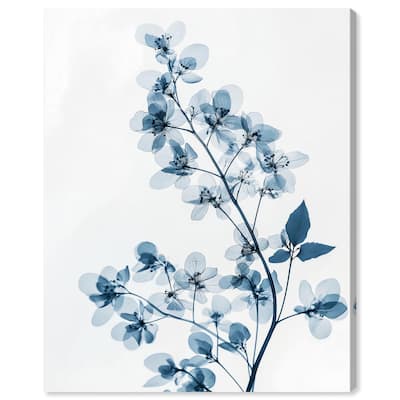 Lucent Bloom II Canvas by Art Remedy, Gallery Wrapped