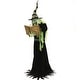 preview thumbnail 9 of 10, Haunted Hill Farm 6-Ft. Tall Motion-Activated Enchantress Witch, Premium Talking Halloween Animatronic, Plug-In