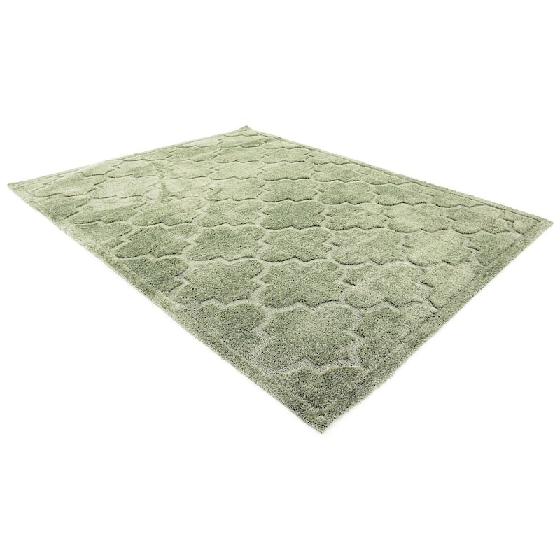 Shag Olido Collection Area Rug - 5'x8' - Green