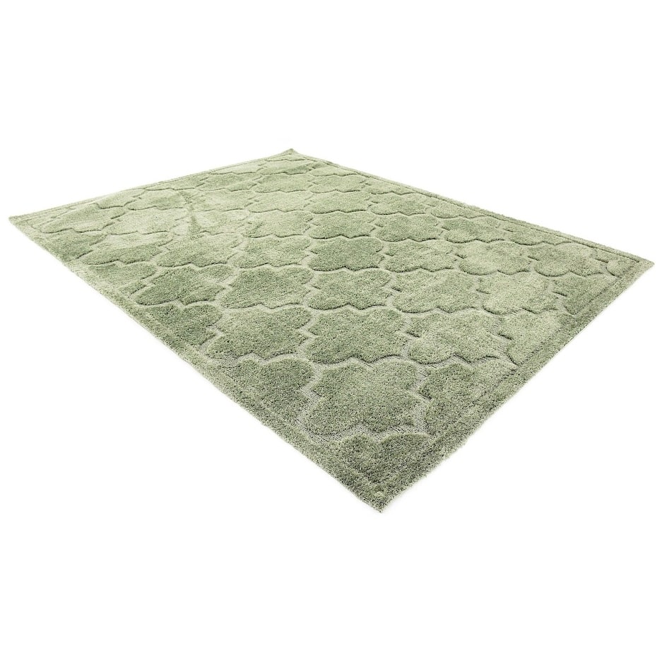 Shag Olido Collection Area Rug