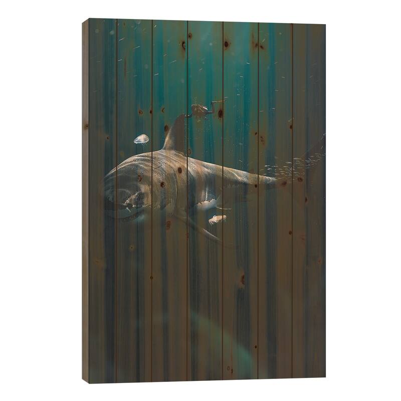 The Megalodon Print On Wood by Zenja Gammer - Multi-Color - 26x18x1.5