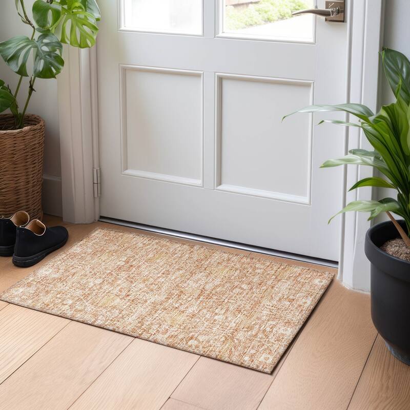 Machine Washable Indoor/ Outdoor Vintage Boho Chantille Rug - Coral - 1'8" x 2'6"