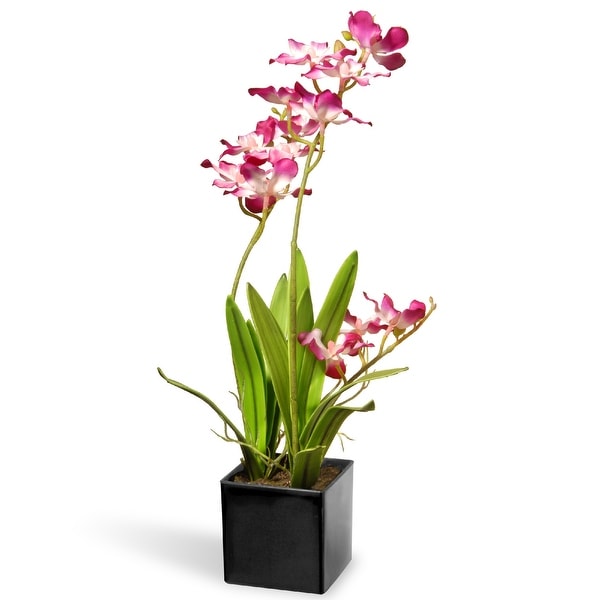 16" Potted Purple Orchid Flowers - N/A