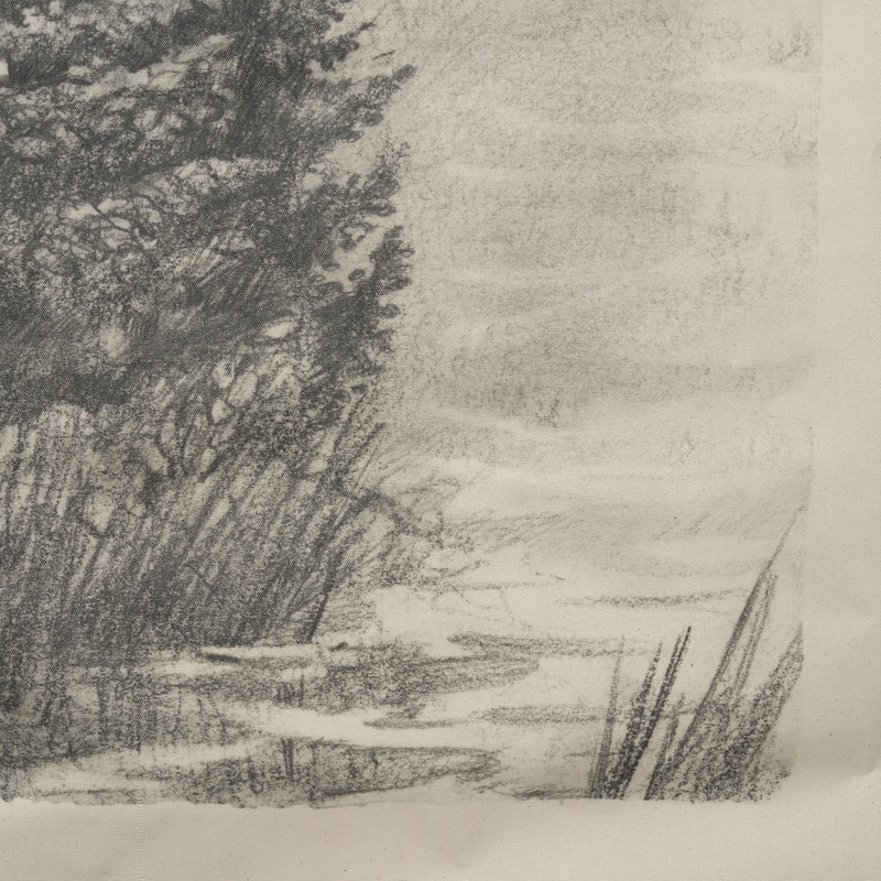 Northern Forest I