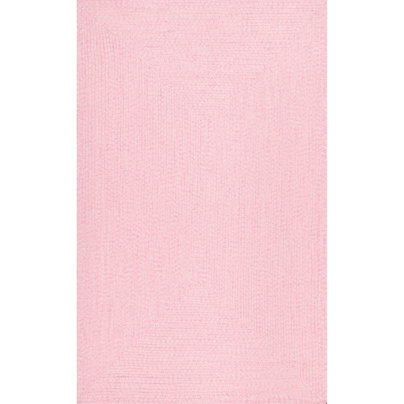 Nuloom Wynn Braided Indoor/Outdoor Area Rug