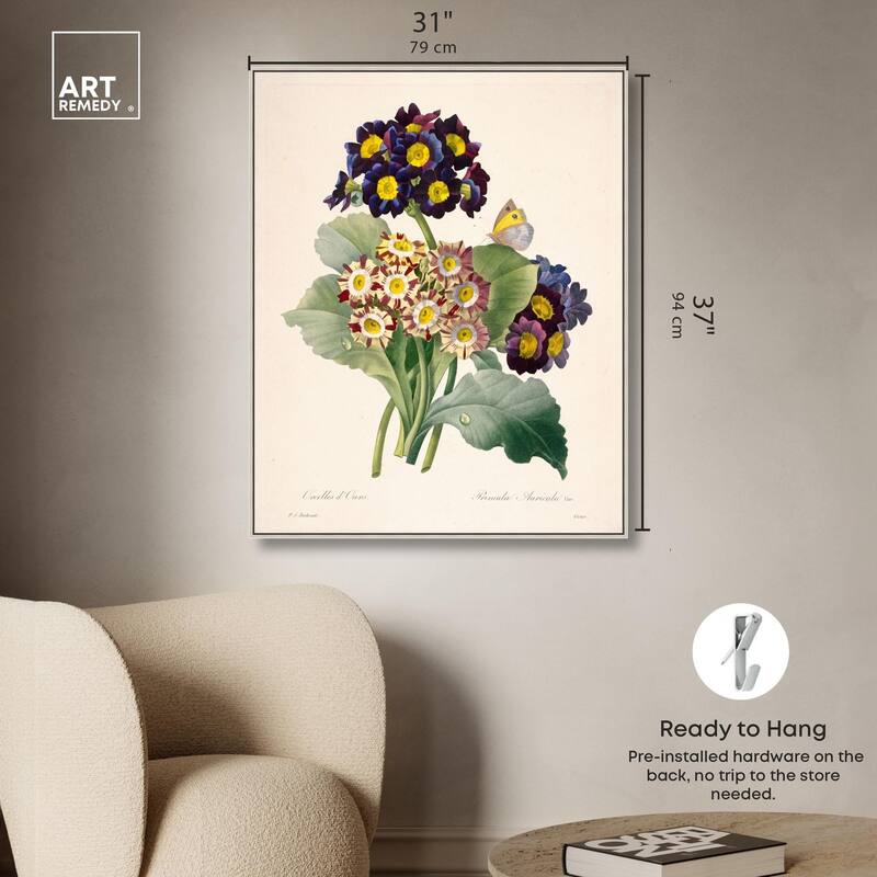 Auricula Varieties Canvas by Art Remedy