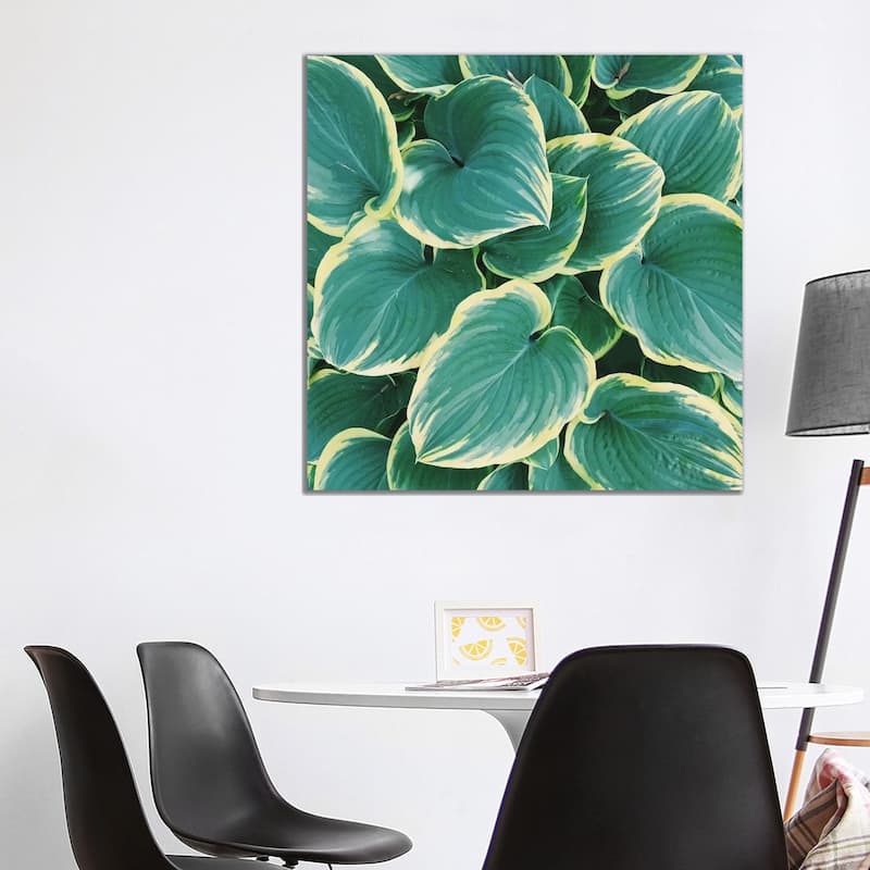 iCanvas "Some Like It Hosta" by Chelsea Victoria Canvas Print - 37x37x1.5