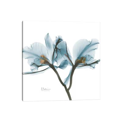iCanvas "Blue Orchid" by Albert Koetsier Canvas Print