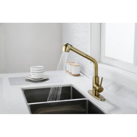 Kitchen Faucets Single-Handle Pull-Out with Dual Spray - 14.5*11.5*9