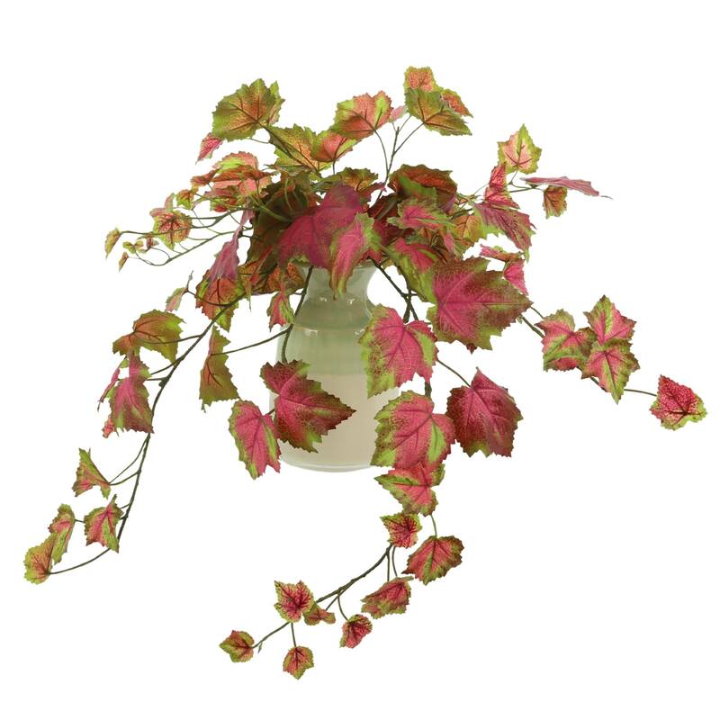 26" Trailing Variegated Ivy in Ceramic Vase - Green