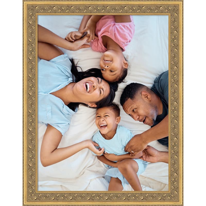 Carter Dark Gold Picture Frame, Photo Frame - 18x24