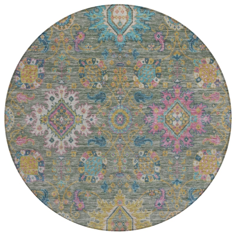 Machine Washable Indoor/Outdoor Boho Traditional Chantille Rug