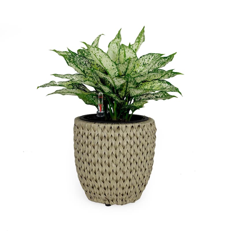 DTY Signature Self-watering Wicker Planter - Garden Decoration Pot - Beige - 10.6 inch Round