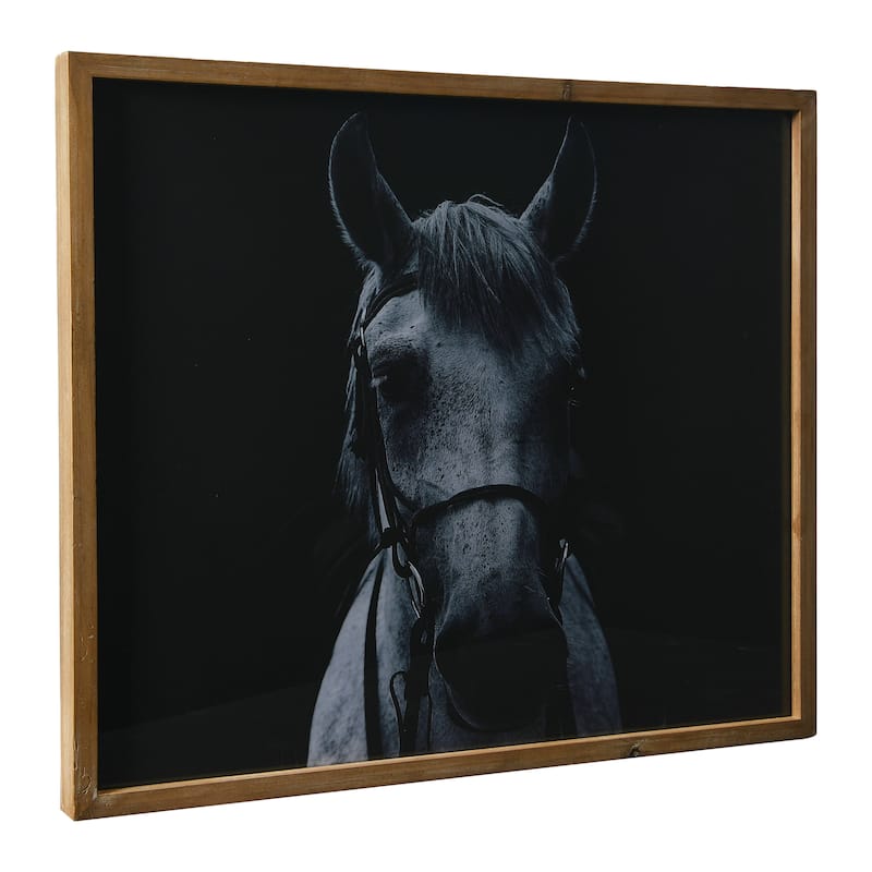 Horse Image Wall Décor, Black and White Horse Print with Wood Frame - Multi-Color