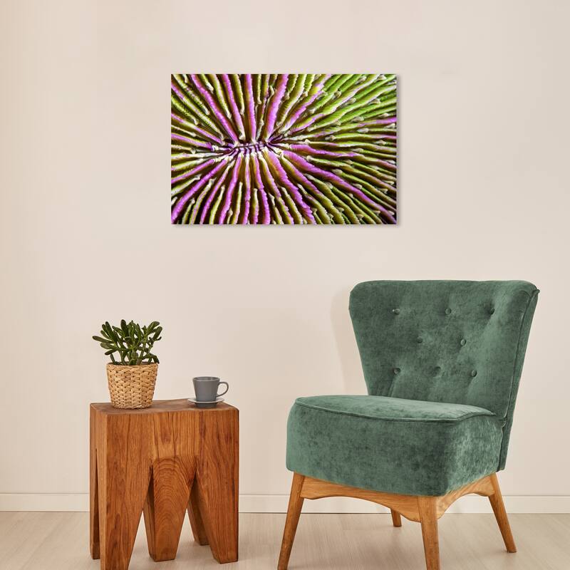Wynwood Studio Nautical and Coastal David Fleetham - Mushroom Coral II Hot Pink Bohemian & Eclectic Wall Art Canvas Print - 16 x 24