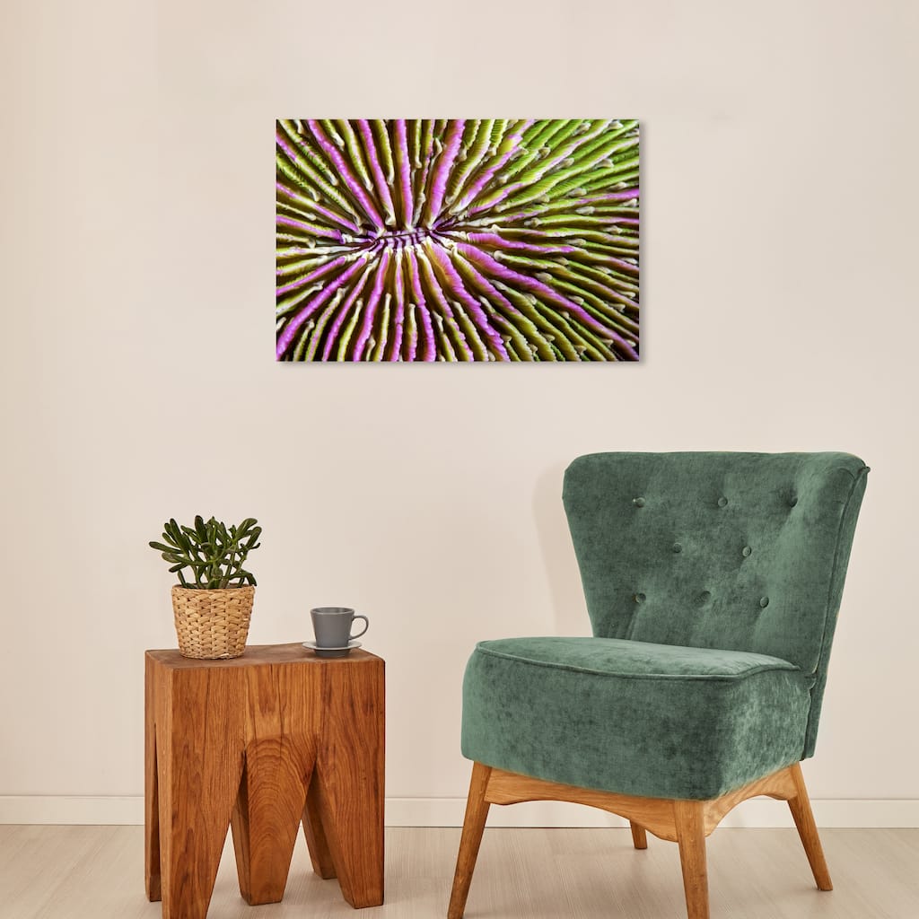 Wynwood Studio Nautical and Coastal David Fleetham - Mushroom Coral II Hot Pink Bohemian & Eclectic Wall Art Canvas Print
