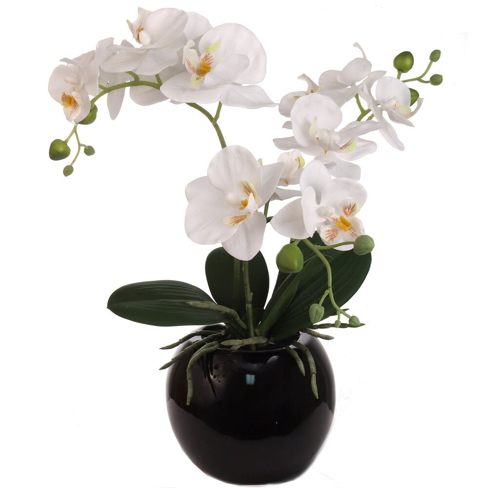 Buy Artificial Plants Online at Overstock | Our Best ...