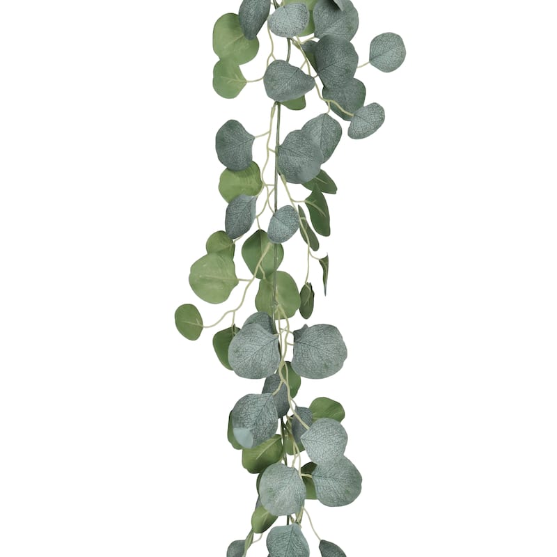 6ft Frosted Green Artificial Silver Dollar Eucalyptus Leaf Vine Greenery Foliage Garland - 72" L x 7" W x 7" DP - 72" L x 7" W x 7" DP - Frosted Green