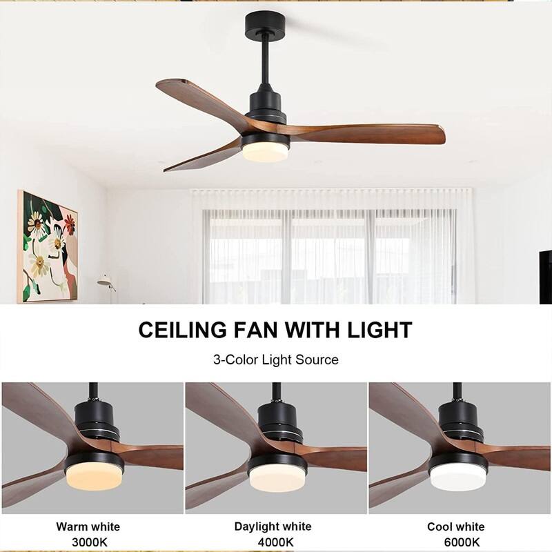 60" Black & 52" White Ceiling Fans with LED Light & Reversible DC Motors