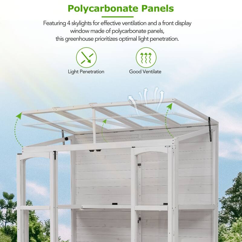 78" Wooden Walk-In Outdoor Greenhouse with Skylights & Folding Shelves