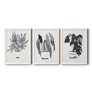 B&W Indoor Plant IV-Premium Framed Canvas - Ready to Hang - Multi-Color ...
