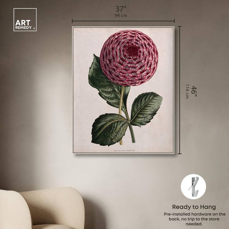 A dahlia Canvas by Art Remedy