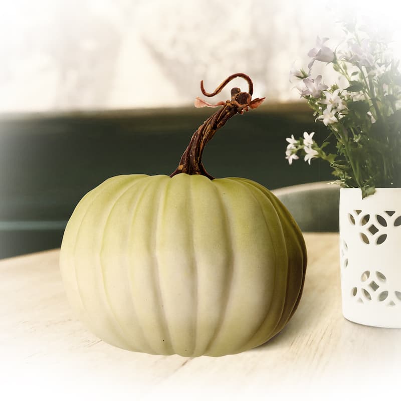 Latex Harvest Vine Pumpkin Set of 2
