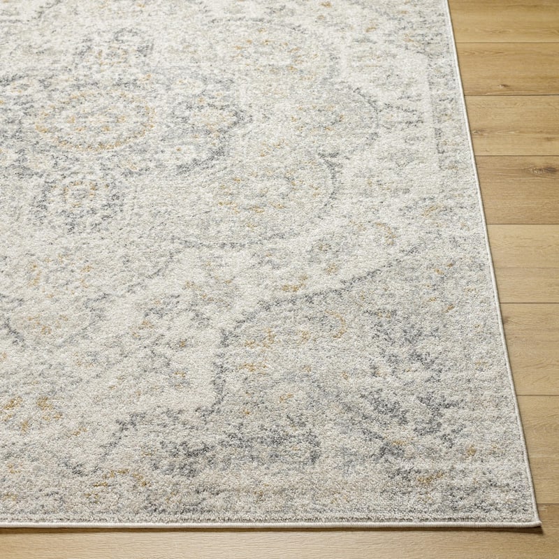 Livabliss Elaziz Updated Traditional Medallion Area Rug