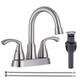 Option Brushed Nickel
