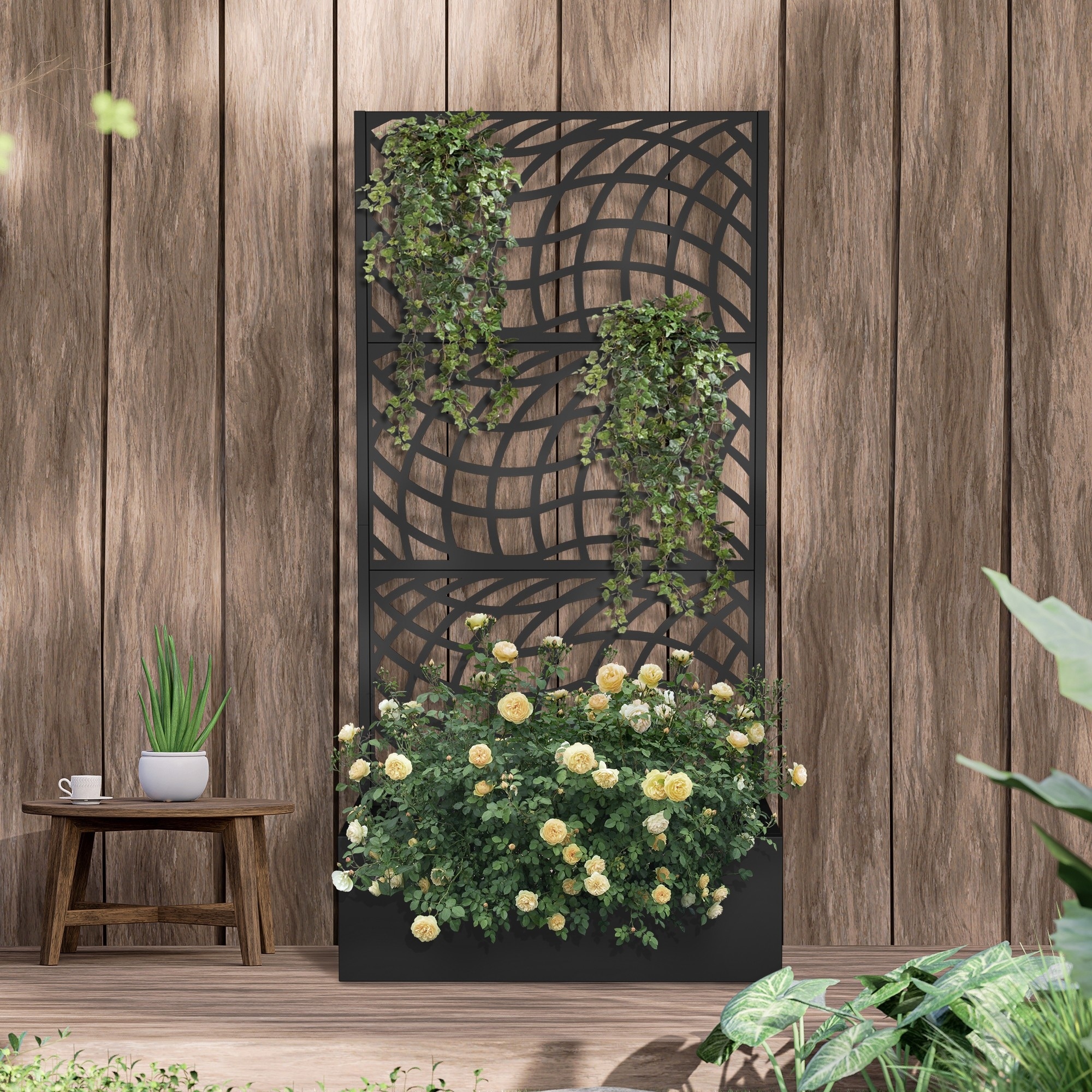 monstera variegata kaufen deutschland Monstera deliciosa Mint variegata – Rarität kaufen main image 0