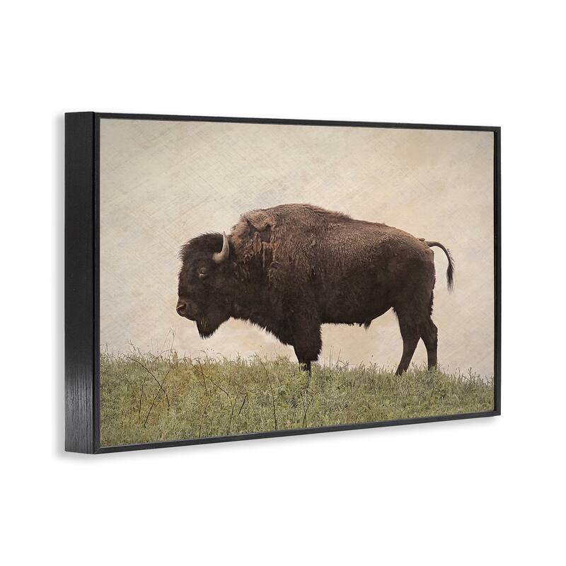 Stupell Serene Buffalo on Country Hill Framed Giclee Art Design By Steve Toole