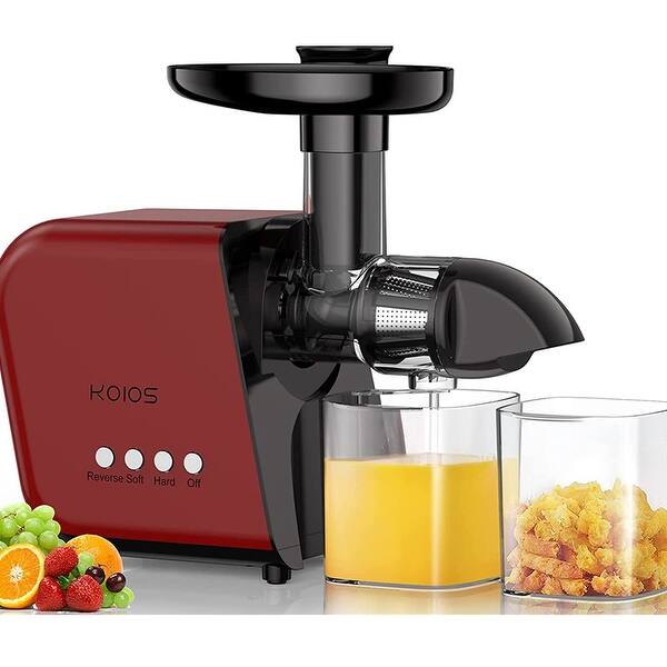 Masticating Slow Juicer Extractor with Reverse Function Bed Bath