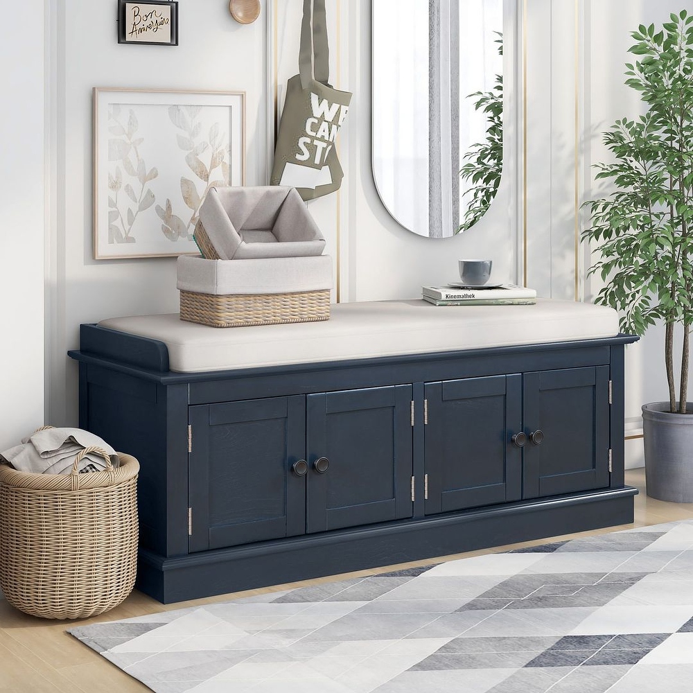 Blue hotsell shoe storage