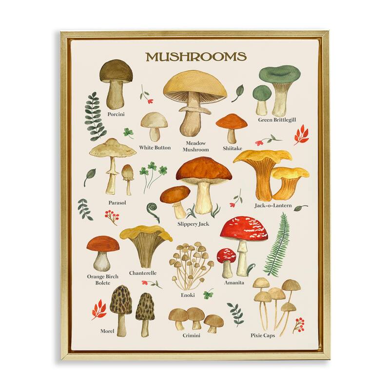 Stupell Foraging Mushrooms Studies Framed Floater Canvas Wall Art Design by Sharon Lee