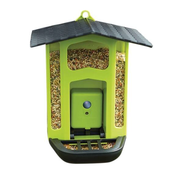 Shop Hanging Bird Feeder Record Feeding Birds 1 5mp Motion