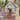 Qaba Outdoor Playhouse, Wooden Kids Cottage with Dog Door, Flower Box, Window, Cookware, Gray