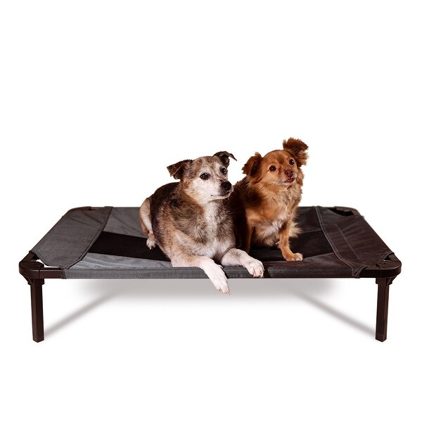 dog cots canada