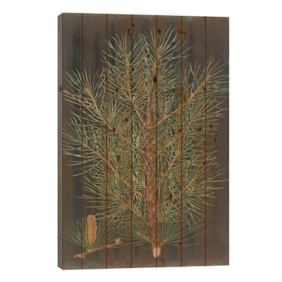Dramatic Pine II Print On Wood by Vision Studio - Multi-Color