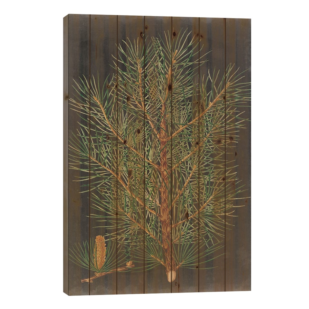 Dramatic Pine II Print On Wood by Vision Studio - Multi-Color